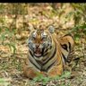 Profilbild von अपना टाइम आएगा