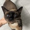 yaomeili profil fotoğrafı