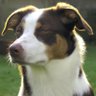 Profilbild von 🕺AMY´S NOSE 🐕