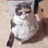 Matia_no's profile picture
