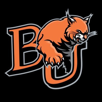 BakerWildcatSB's profile picture