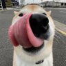 Profilbild von Today’s Mood