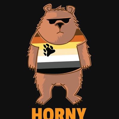 Gorditomzt's profile picture