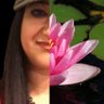 Malavika Sharma's profile picture