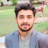 Profilbild von Raja Numan Abbasi