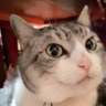 聖(sei)'s profile picture