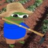 Pepe Farms's profile picture