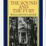 SoundandFury profil fotoğrafı