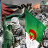 عمر العربي's profile picture
