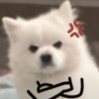 tam's profile picture