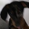 Profilbild von Matter Baby