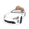 ããã¯ãç§äž's profile picture