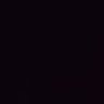 Tom's profile picture