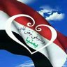 نصرالله باعلوي 的头像