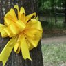 Michael Ozanne 🎗️'s profile picture