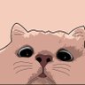 湿布's profile picture