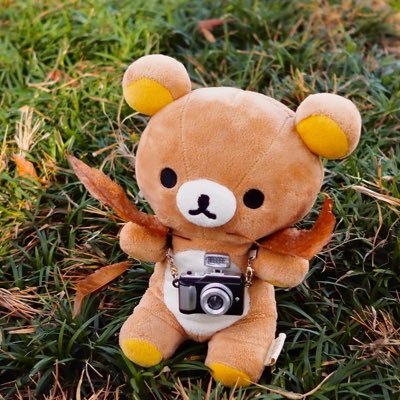 kumamin_ty215's profile picture
