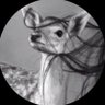 الوضيـحِـي ₅₁₁🦌's profile picture