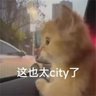 Chandler 的头像