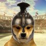 achilles.sol's profile picture