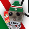 Profilbild von Łirtu 🇭🇺