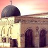 EN-mujahed ali's profile picture