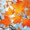 무스타파 profil fotoğrafı