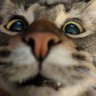 Profilbild von Faxxyy