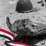 عابر سبيل's profile picture