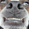 Profilbild von Dunx H