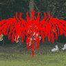 KxAxKxIxPxExAx 的头像