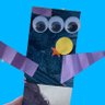 Cody's profile picture