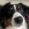 fischmo67's profile picture