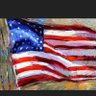 American Grace's profile picture