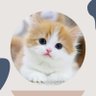 miu profil fotoğrafı