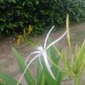 Juank profil fotoğrafı