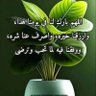 ابو عبدالله's profile picture