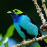 Sajid Kamal profil fotoğrafı