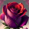شموخ المجد سعودي profil fotoğrafı