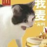 镁基生命体 profil fotoğrafı