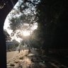 shivanand's profile picture