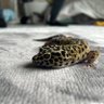 ジョンマイケル profil fotoğrafı