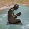 Фото профиля @RONAN SMART