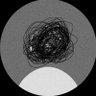 Profilbild von 、