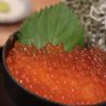 ikura 的头像