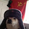 CLOWNSTICK 😎's profile picture