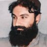 عـرفان کـوچي profil fotoğrafı
