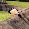 mogmogðœ's profile picture