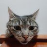 jose profil fotoğrafı