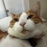 Juancito profil fotoğrafı